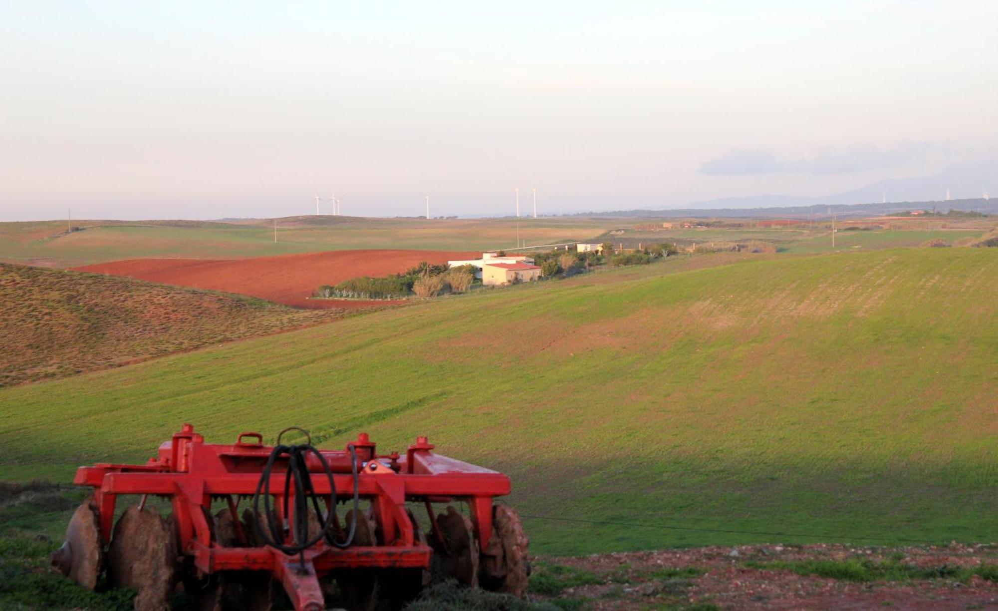 Monte De Santo Antonio - Turismo Rural Vila do Bispo Szoba fotó